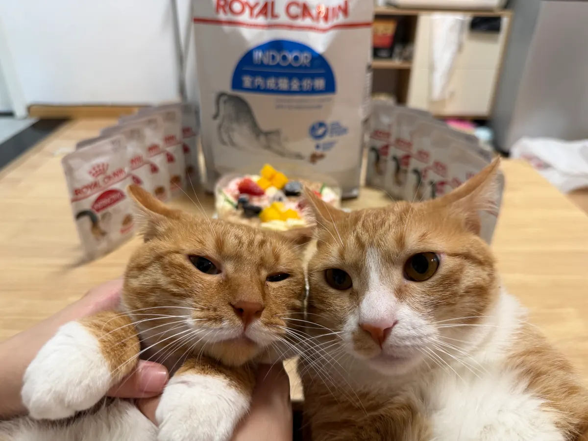 金风玉露一岁啦